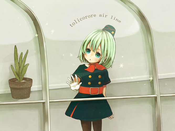 tolicorore air line