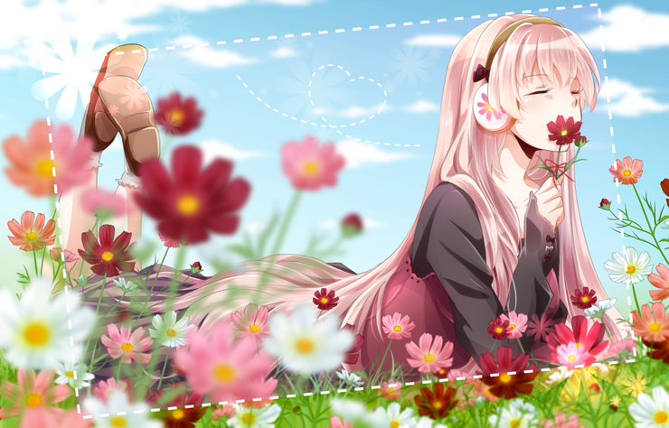 コスモスの日