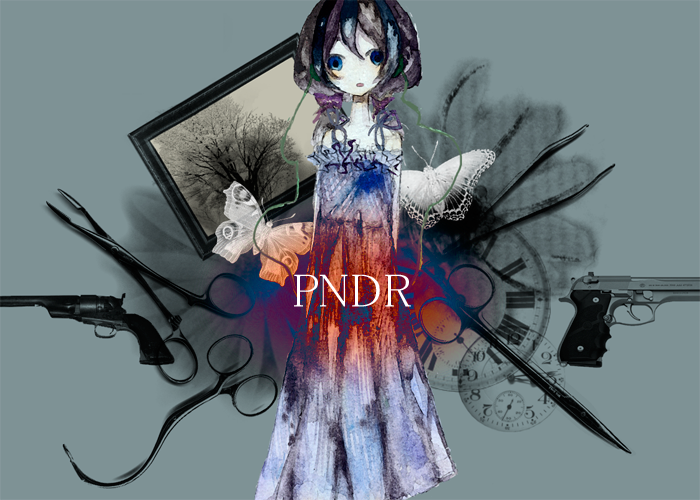 PNDR