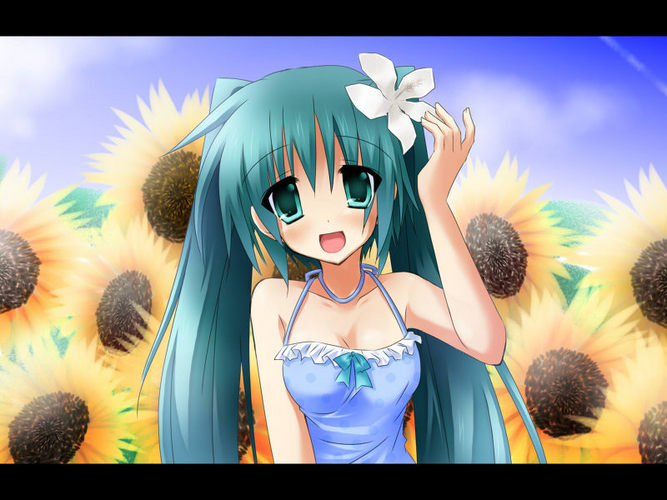向日葵