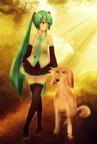 サルーキ