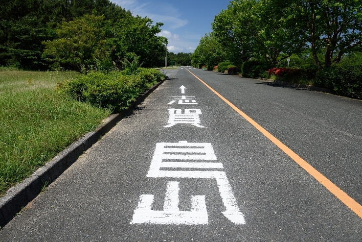 志賀島