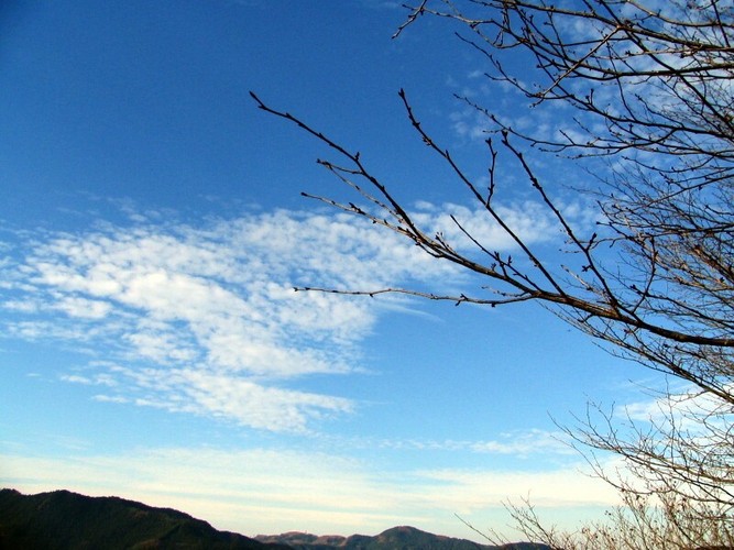 背景素材