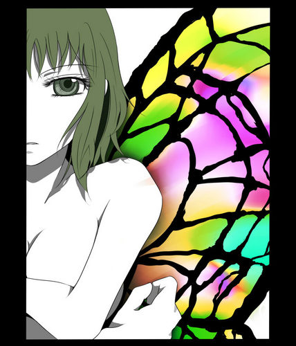 monochrome butterfly
