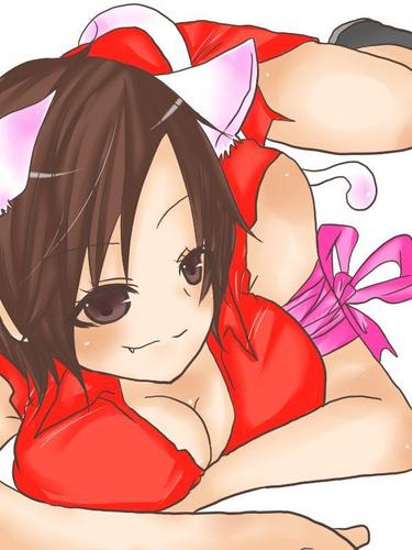 我が家のぬこ様
