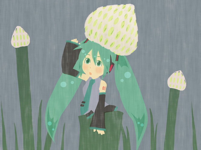 ねぎぼうず