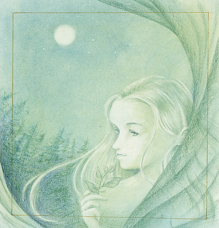 月夜の森