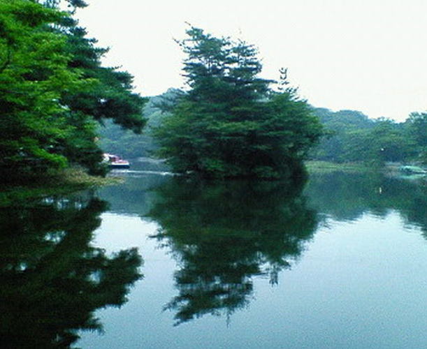 浮島