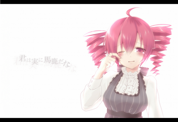 君は 実に 馬鹿だな・・・