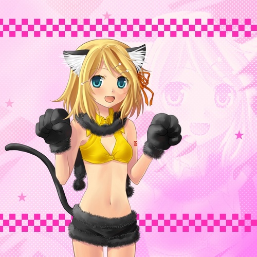猫リンちゃん