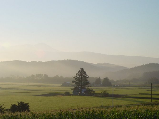 背景用写真-朝靄