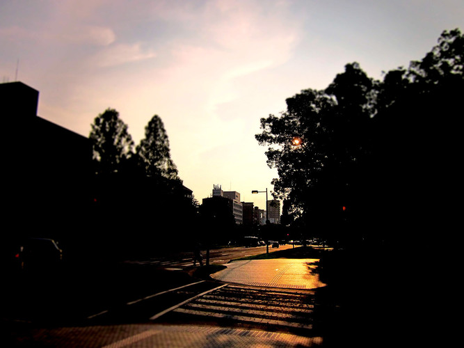 横断歩道1
