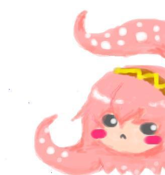 壁からタコルカ