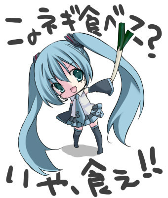 このネギ食え!!