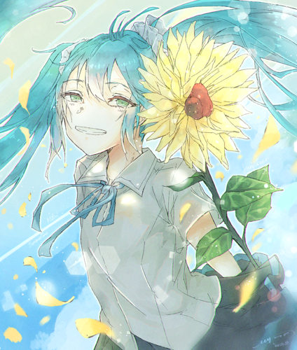 ひまわり