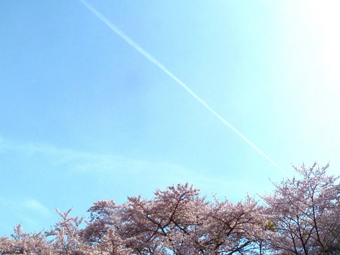 一線(素材)