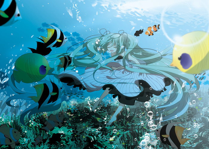 海のコンサート