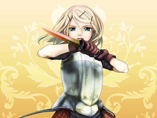 戦士リン