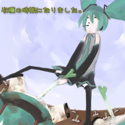 収穫の時期になりました。