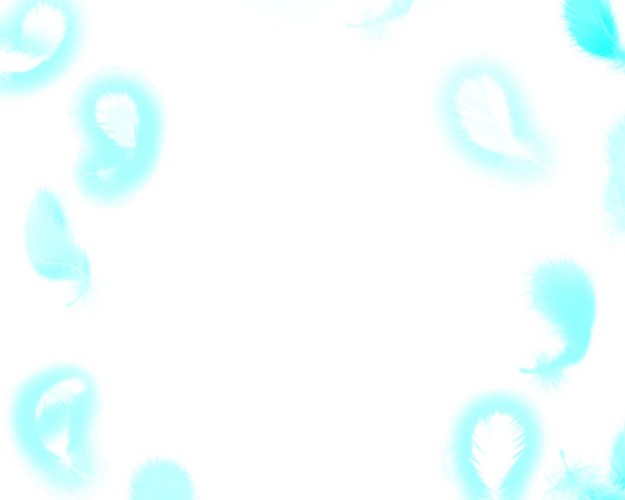 羽