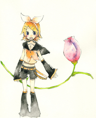 お花