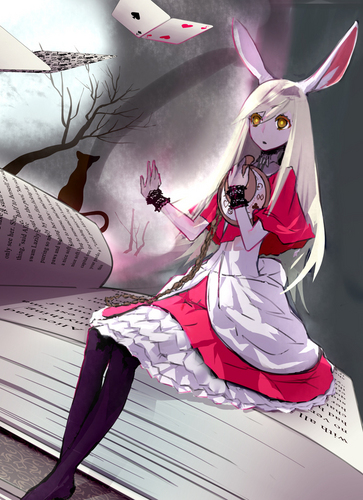 月夜の夢のアリス