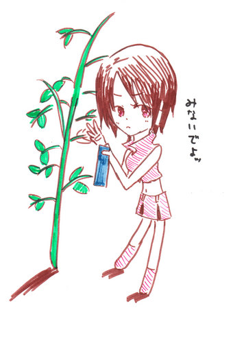 短冊…みせてくれたっていいじゃん