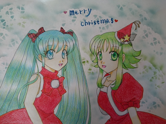 Merry Christmasです~