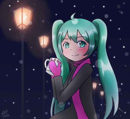 とある雪の日の夜