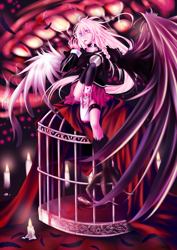 IA-another