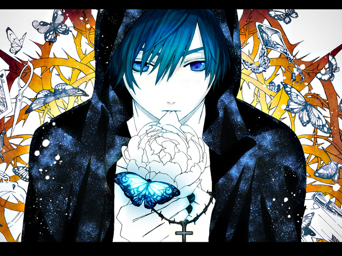 Blue butterfly