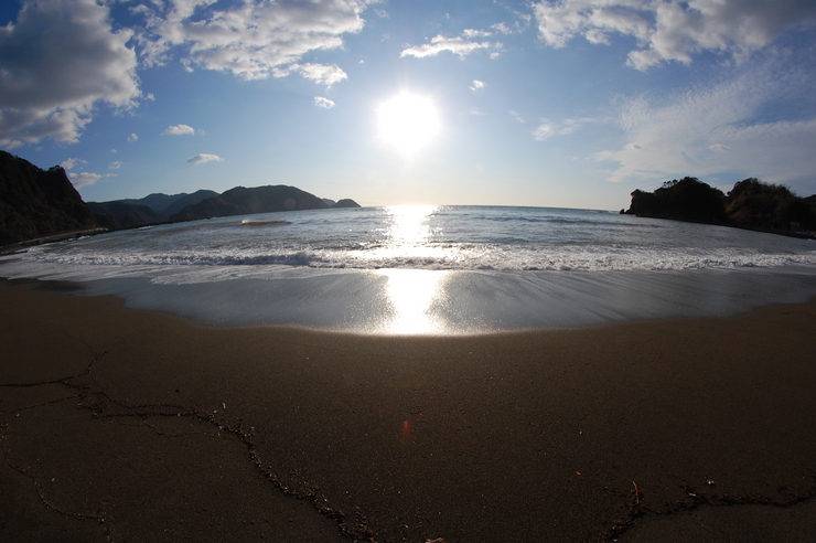海