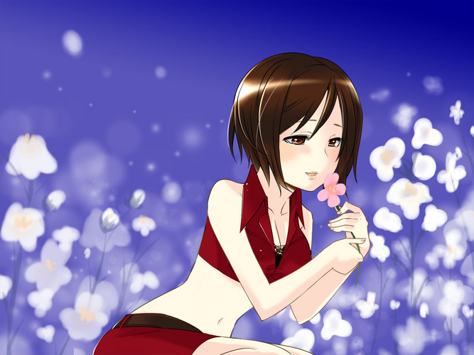 MEIKO・リナリアⅡ(差分)
