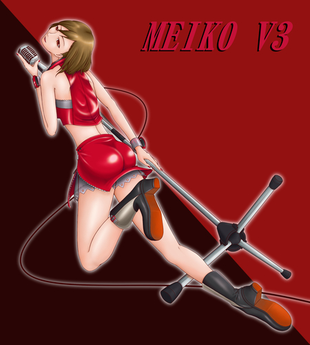 MEIKO V3 (3)