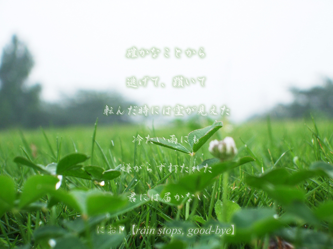 rain stops, good-bye