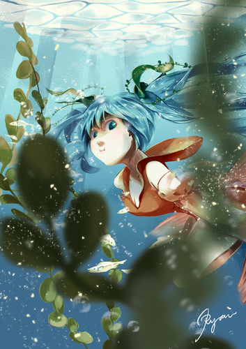 また夏だ