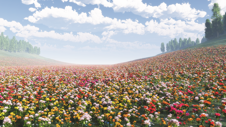 花畑