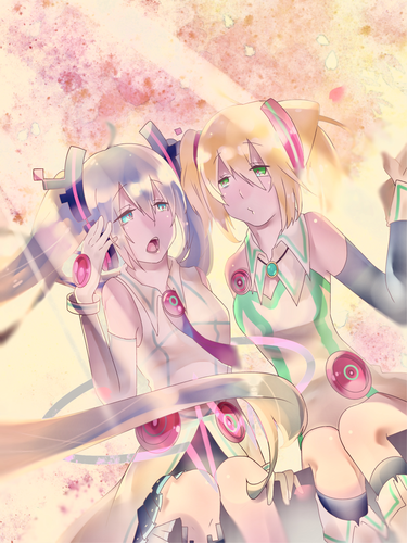 Cherry Blossom