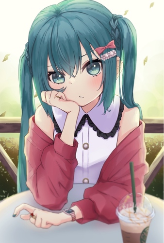.....ばか。