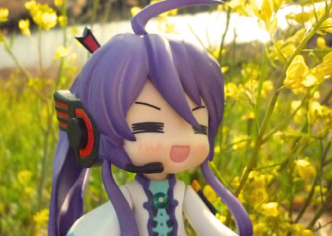 菜の花と殿