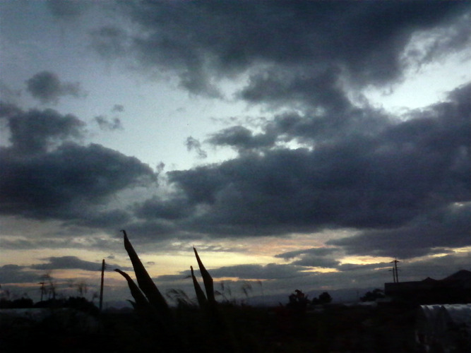 夕暮れ