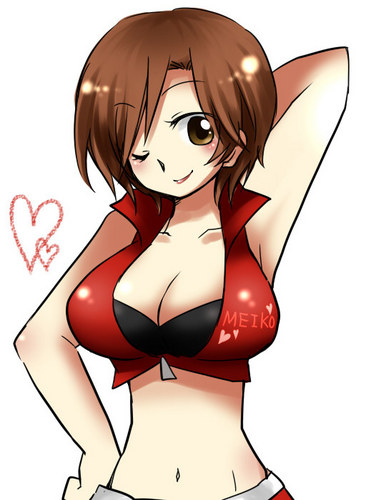 めーちゃん