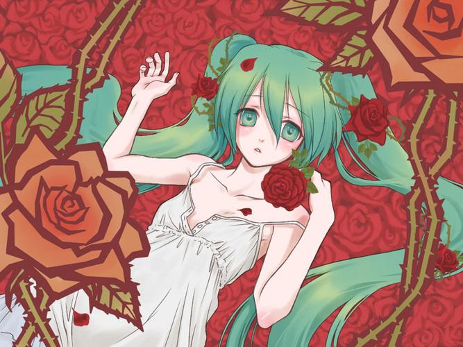 その薔薇の色は…