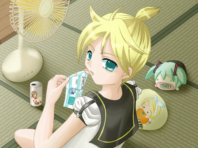 日本の夏、ボカロの一日。