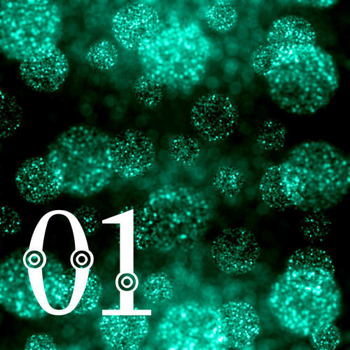 01 初音ミク