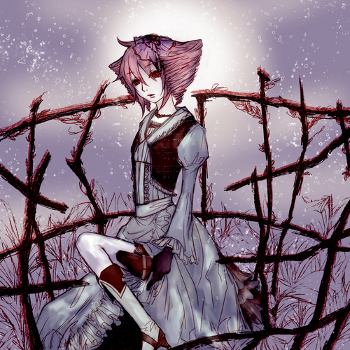 To the outside world