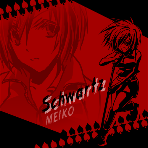 Schwartzな姉さん