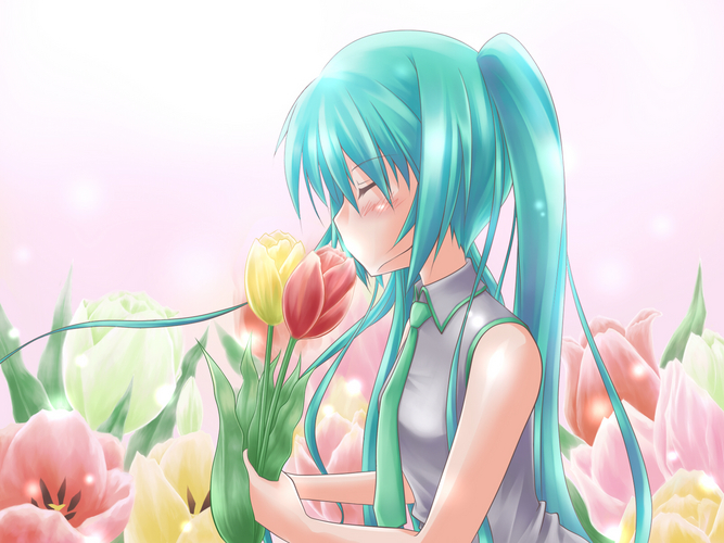 ちゅーリップ