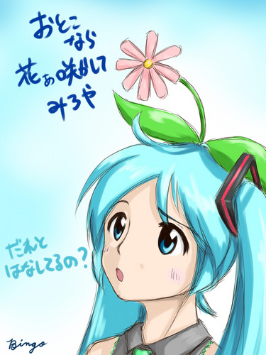花とミク