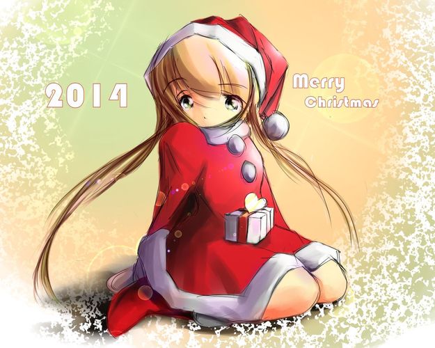 Merry Christmas 2014
